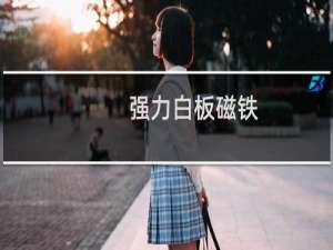 强力白板磁铁