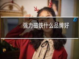 强力磁铁什么品牌好