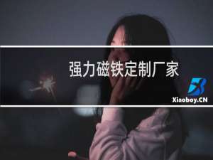 强力磁铁定制厂家