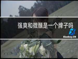 强爽和微醺是一个牌子吗