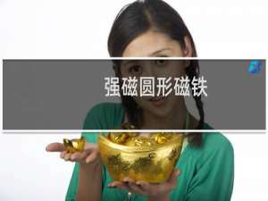 强磁圆形磁铁