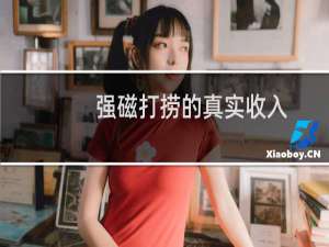 强磁打捞的真实收入