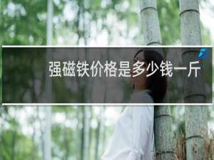 强磁铁价格是多少钱一斤