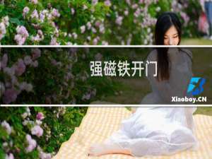 强磁铁开门