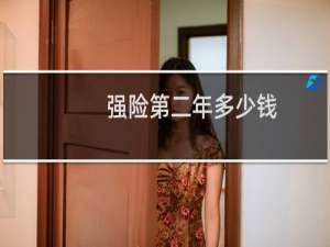 强险第二年多少钱