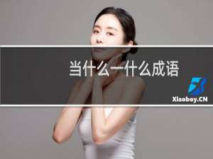 当什么一什么成语