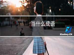 当什么成语