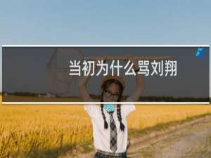 当初为什么骂刘翔