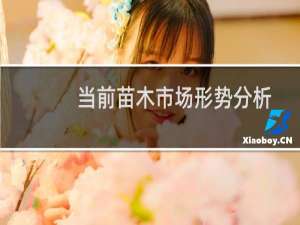 当前苗木市场形势分析