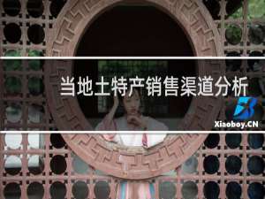 当地土特产销售渠道分析