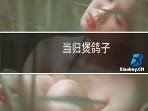 当归煲鸽子