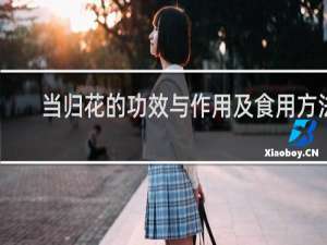 当归花的功效与作用及食用方法