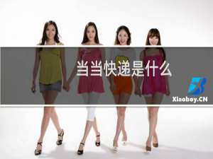 当当快递是什么