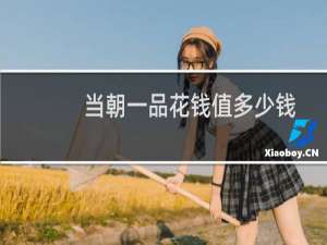 当朝一品花钱值多少钱