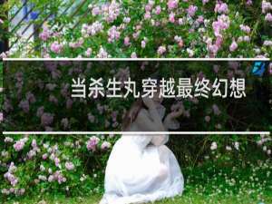 当杀生丸穿越最终幻想