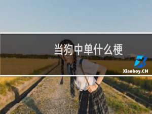当狗中单什么梗？当狗中单是什么意思什么梗