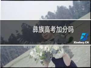 彝族高考加分吗