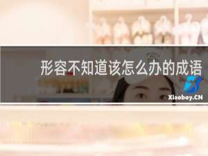 形容不知道该怎么办的成语