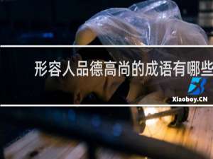 形容人品德高尚的成语有哪些