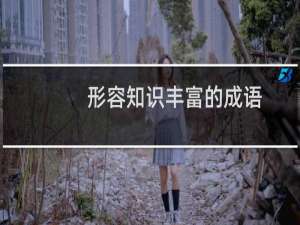 形容知识丰富的成语