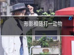 形影相随打一动物（形影不离打一动物正确答案是）