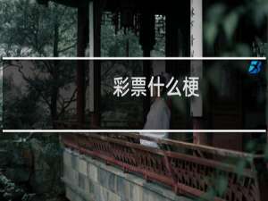 彩票什么梗