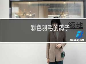 彩色羽毛的鸽子