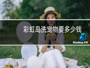 彩虹岛洗宠物要多少钱