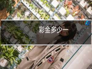 彩金多少一