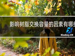 影响树脂交换容量的因素有哪些