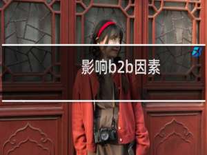 影响b2b因素