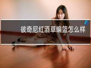 彼奇尼红酒草编篮怎么样