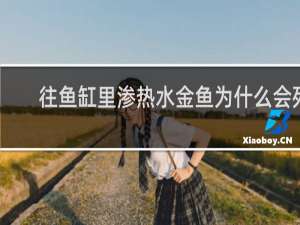 往鱼缸里渗热水金鱼为什么会死