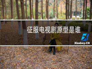 征服电视剧原型是谁