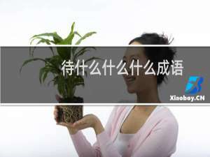 待什么什么什么成语