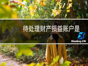 待处理财产损益账户是