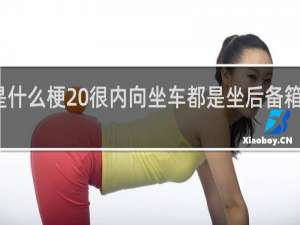 很内向是什么梗 很内向坐车都是坐后备箱啥意思什么梗