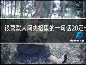 很喜欢人间失格里的一句话 定价39.8什么梗
