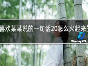 很喜欢某某说的一句话 怎么火起来的什么梗