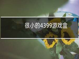 很小的4399游戏盒