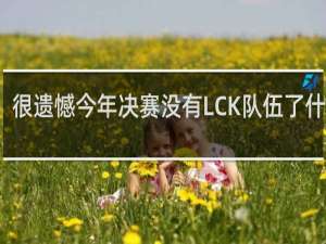 很遗憾今年决赛没有LCK队伍了什么梗