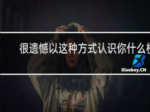 很遗憾以这种方式认识你什么梗