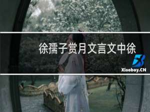 徐孺子赏月文言文中徐孺子的回答妙在哪里（徐孺子赏月文言文翻译）