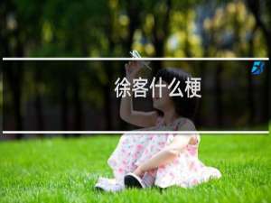 徐客什么梗