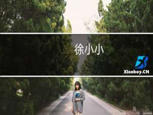 徐小小
