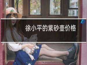 徐小平的紫砂壶价格