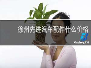 徐州先进汽车配件什么价格