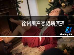 徐州国产变频器原理