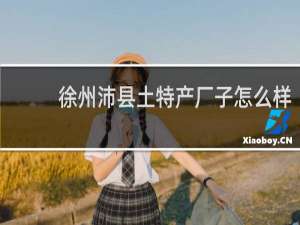 徐州沛县土特产厂子怎么样