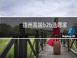 徐州高端b2b选哪家